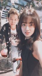 点击看大图 -金棕榈