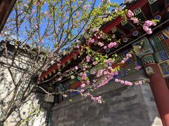 -北京湖广会馆