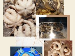 -铭聚章鱼土笋冻(松柏店)