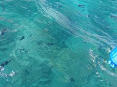 -蓝湾海滩
