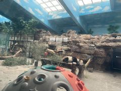 -石家庄市动物园