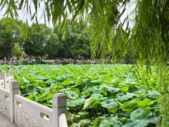 -莲池书院博物馆