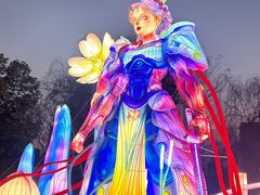 -武汉园博园(武汉自然博物馆)