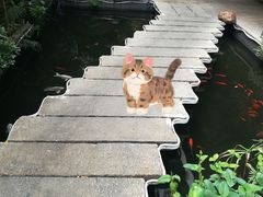 -嘉缤苑