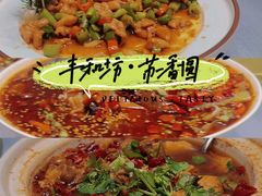 -丁老爷子苏香圆