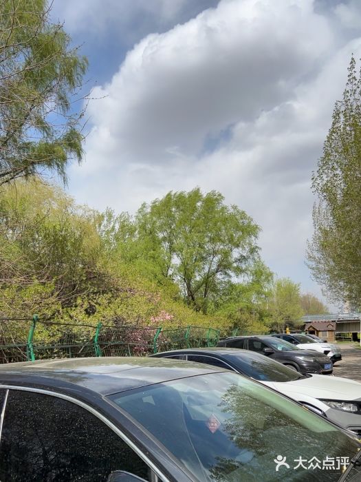 长白岛森林公园图片