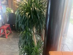 -西塘人家•黑金冠本地好店