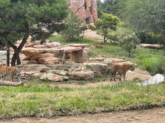 -北京野生动物园