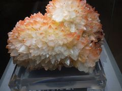 -湖南省地质博物馆