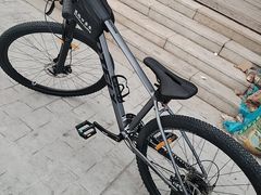 -道路口单车爱瓦士dahon大行