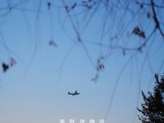 -丁香湖公园