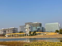 -春花秋色城市公园