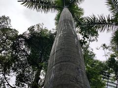 -荔香公园