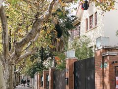 -璐坊粽王(复兴中路店)