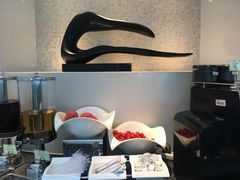 -虹桥机场国航贵宾室v8