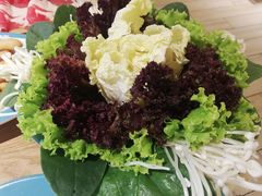 -青瓷火锅料理(西单大悦城店)