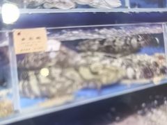 -鹊华居·地道鲁菜·海鲜·融合味(大明湖店)