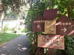 -兴隆隆苑咖啡庄园