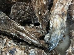 -宾朋海鲜特色美食餐厅·纯手工鲅鱼水饺(兴海路店)