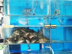 -岳各庄批发市场(西四环中路店)