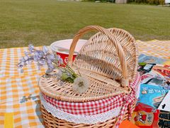 -TIPPI营地 房车主题·露营烧烤团建轰趴(天安假日店)