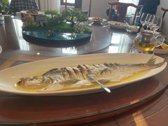 -鲁宴·鲁煨黄河生态大鲤鱼(月坛店)