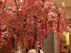 -大江户·温泉洗浴(浑南店)