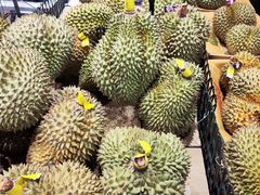 -AEON永旺(东方宝泰店)