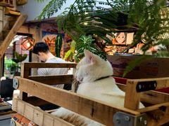 -nodcafe(M50创意园店)