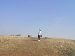 -恋山坝上草原