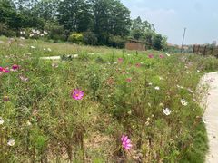 -美林湖温泉别墅度假村