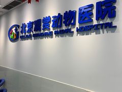 -北京观赏动物医院·24小时大型综合·猫专科·异宠专科