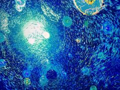 -南戴河国际娱乐中心