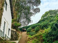 -西湖风景区十里琅珰-五云山