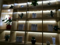 -芳朵美容养生SPA