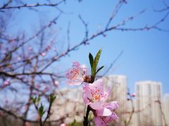 -白塘生态植物园