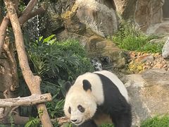 -香港海洋公园