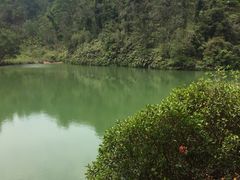 -中山市树木园