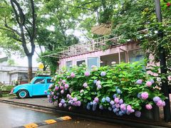 -灯塔咖啡馆BOOK·Coffee Shop