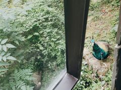 -苏州环秀晓筑养生度假村