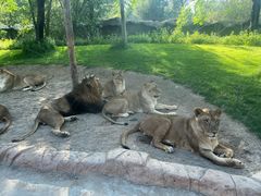 -北京野生动物园