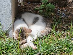 -终南山南五台景区