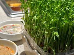 -海底捞大排档火锅(悦荟广场店)