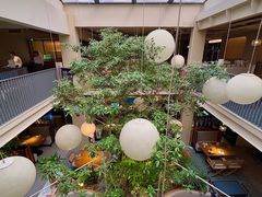-馋嘴猫北京食堂·烤鸭·宵夜(亚运村店)