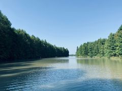 -上海海湾国家森林公园