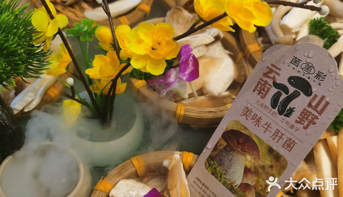 吃jier，一口鲜掉眉毛的山野冒险！🍄
