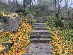 -秦岭终南山世界地质公园翠华山景区
