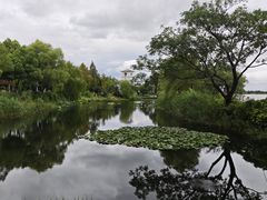 -金银湖国家城市湿地公园