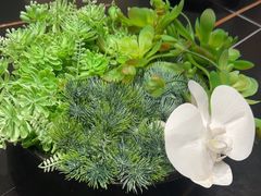 -映像威海·威海宴(威高广场店)