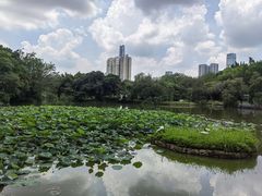 -人民公园(罗湖区)